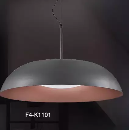 F4－K1101
